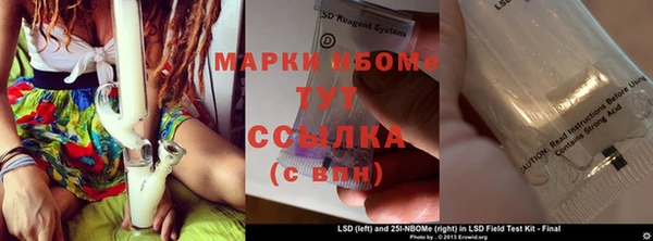гашик Белокуриха