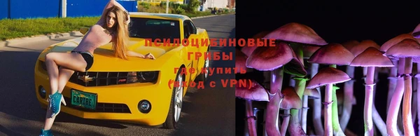 синтетический гашиш Снежногорск