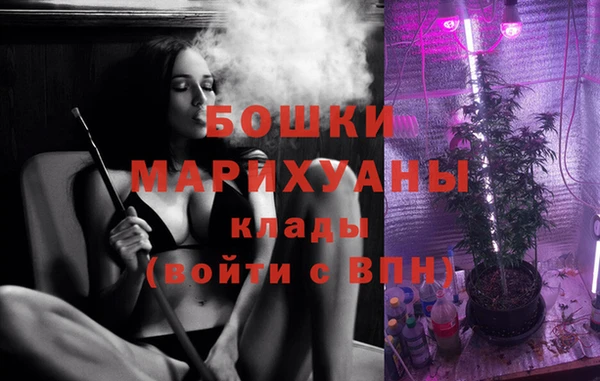 гашик Белокуриха