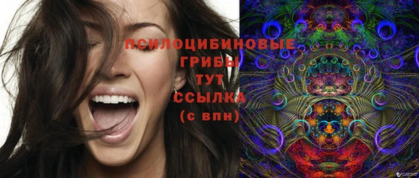 гашик Белокуриха
