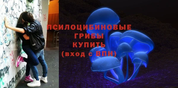 гашик Белокуриха