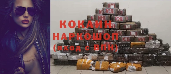 гашик Белокуриха