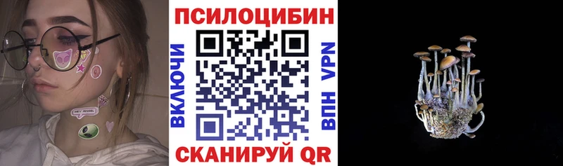 Псилоцибиновые грибы мицелий  Щёлкино 